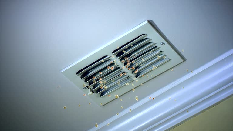 Best HVAC Air Duct Cleaning  in Belle Haven, VA