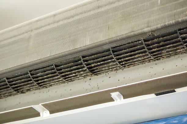 Best Best Air Duct Cleaning Company  in Belle Haven, VA